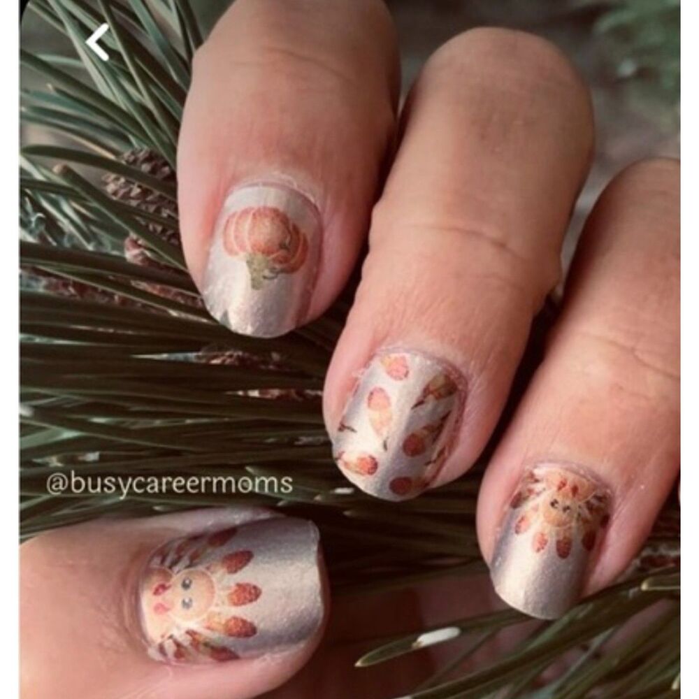 Color Street Thanksgiving Feathered Friends Nail Strips